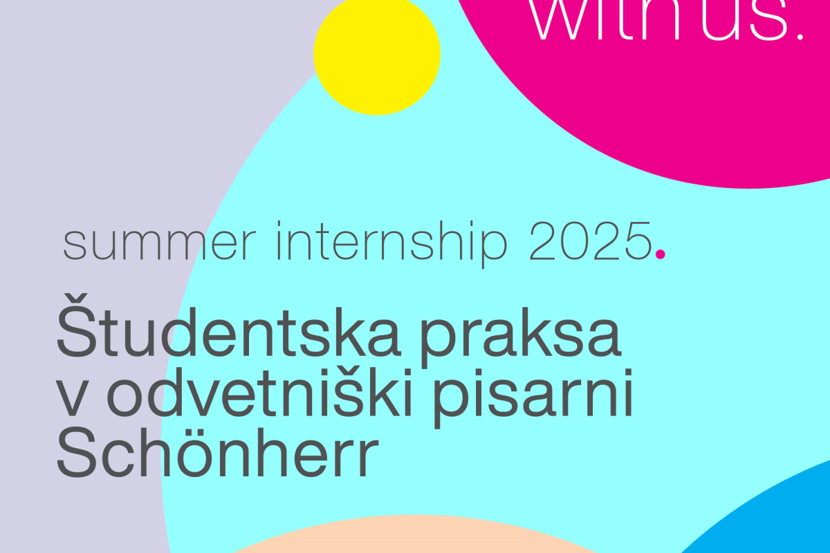 Internship summer 2025
